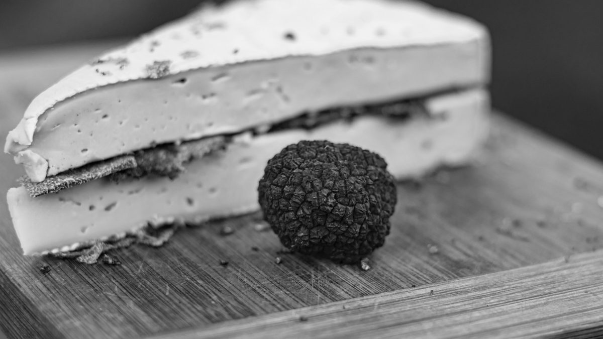 La truffe, un aliment de luxe ? Découvrez pourquoi !